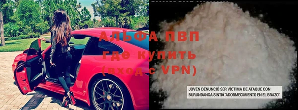 ПСИЛОЦИБИНОВЫЕ ГРИБЫ Вязьма